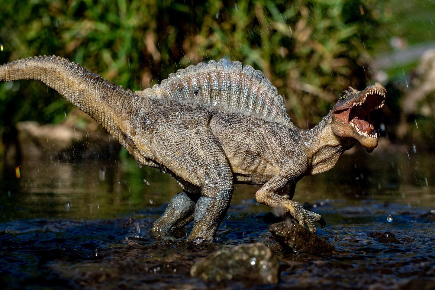 Spinosaurus fishing