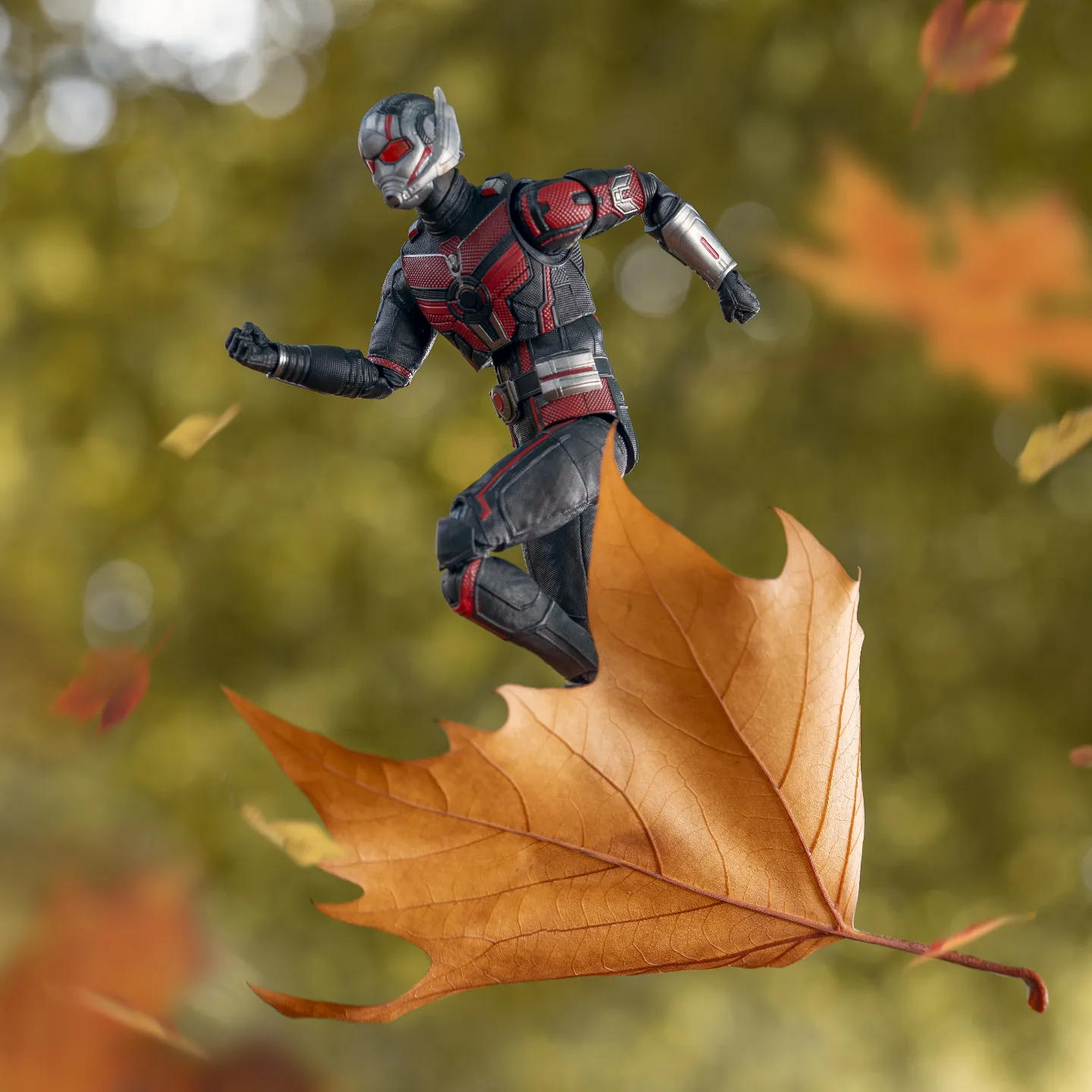 Antman is still enjoying the falling leaves