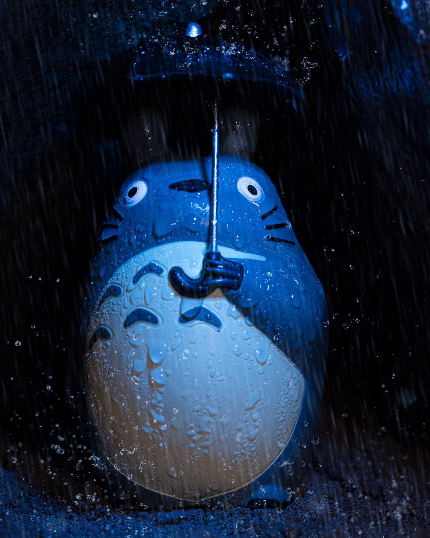 Totoro taking shelter from the rain