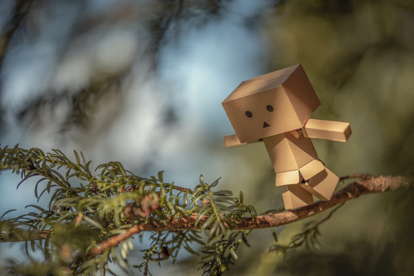Cardboard Carl is practicing his tightrope walking at the local park.....you can do it!!! Haha