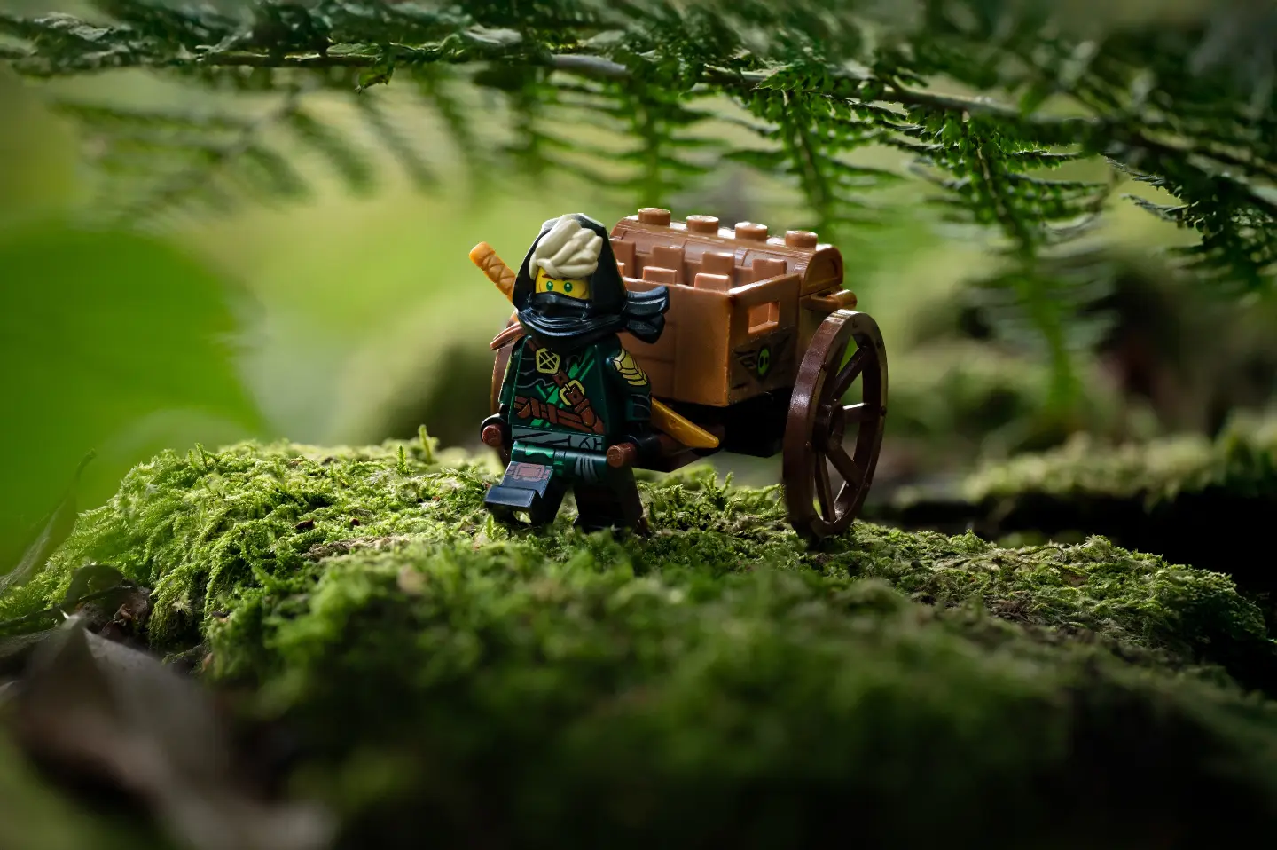 The lone traveller