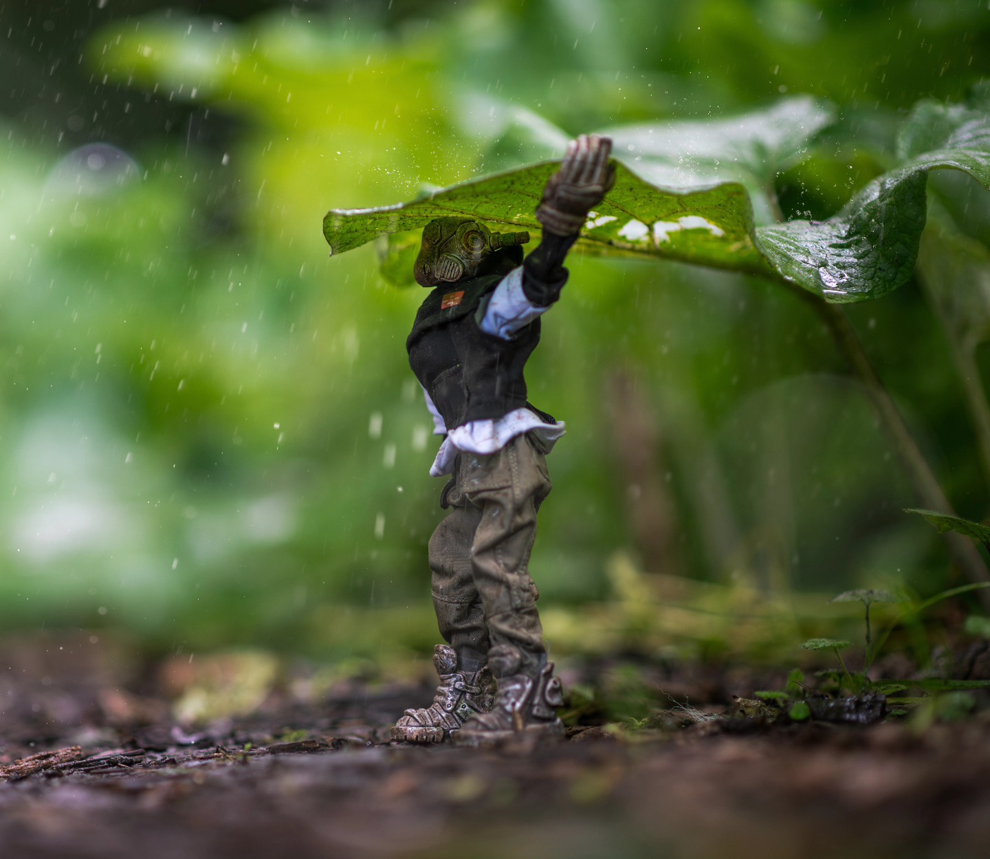 "Let the rain wash away all worries"