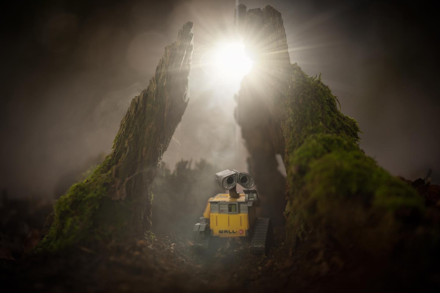 Wall-e continues his search for life
