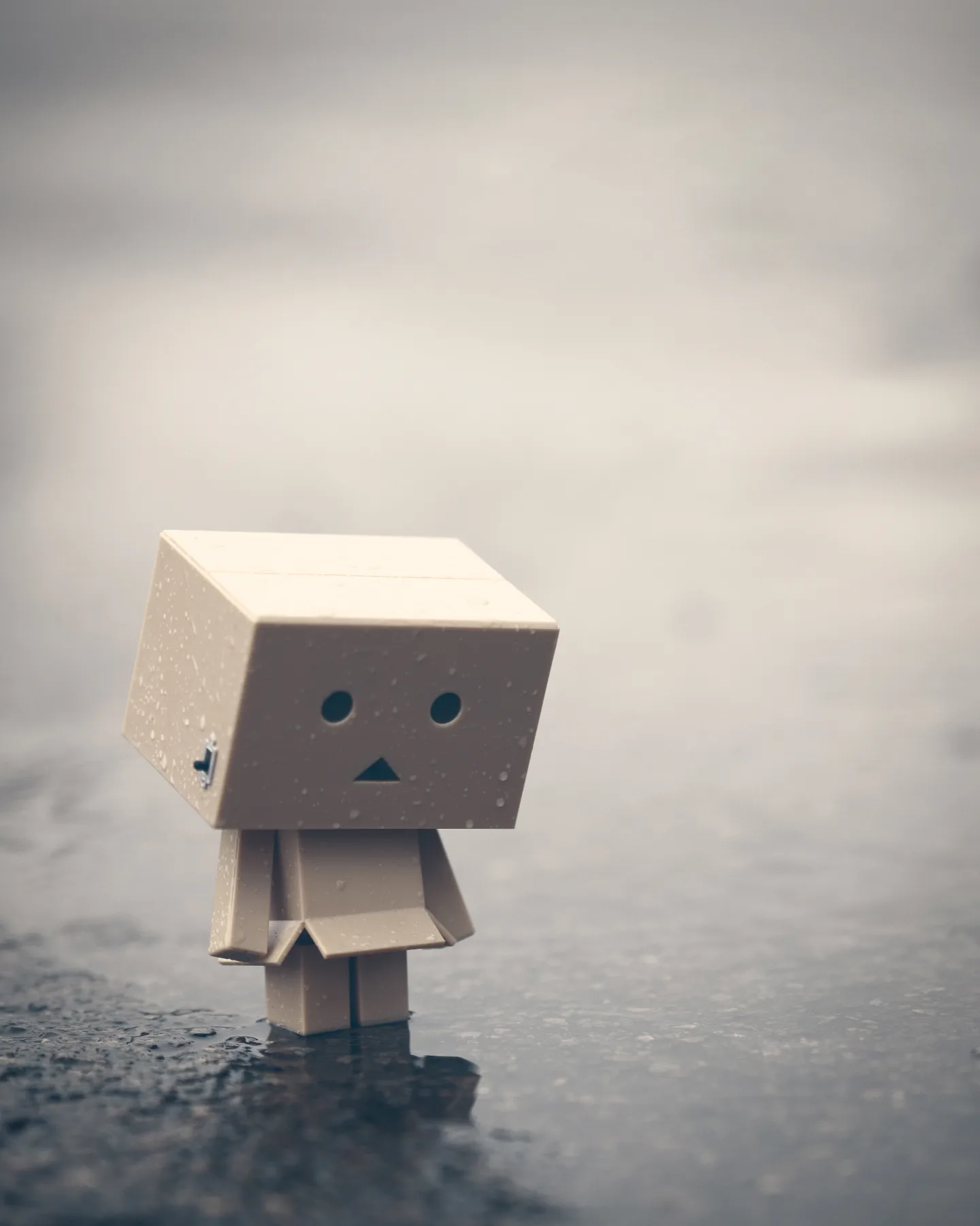 "I like rainy days, it reminds me the world sometimes has sad days too!"