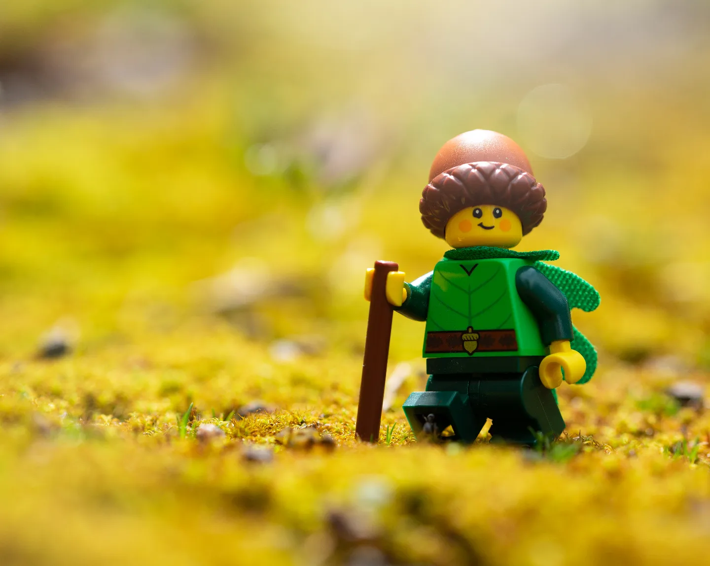 Mini adventures