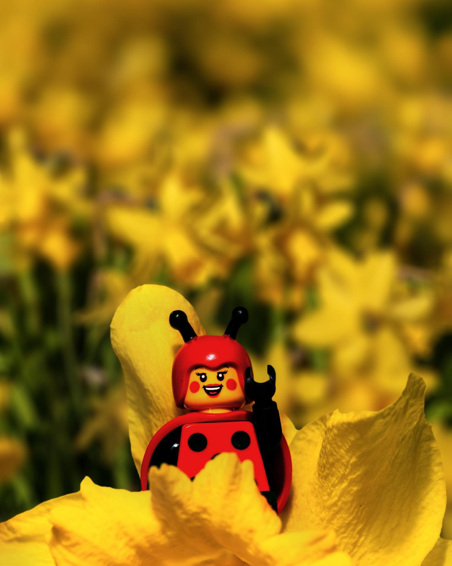 Spring is well on its way now!