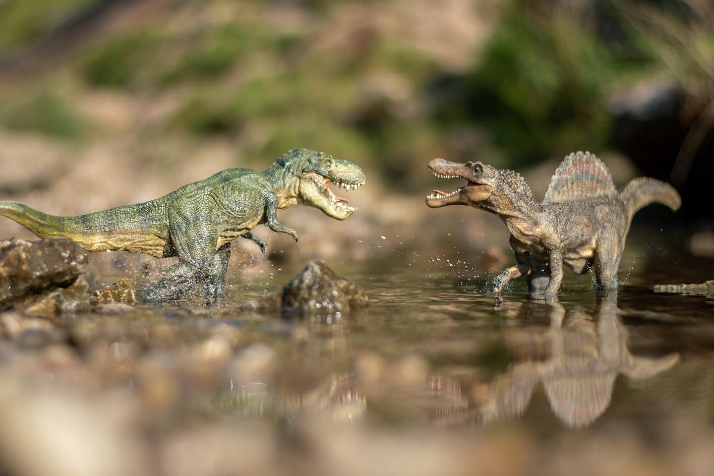 Bit of Jurassic park recreation