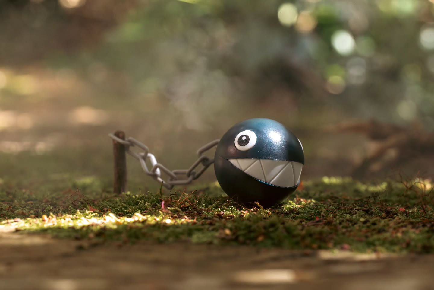 You found a wild chain chomp!