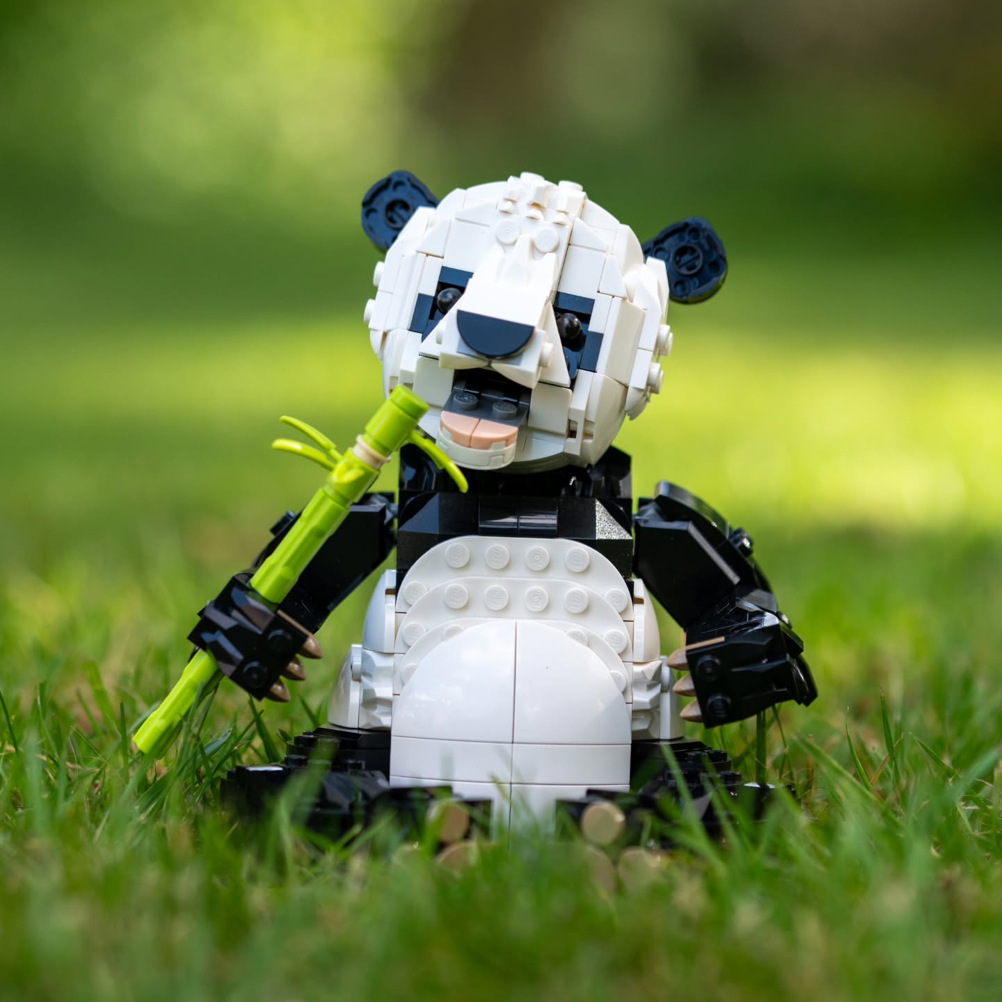 “Like a panda rolling through leaves, happiness sometimes l…