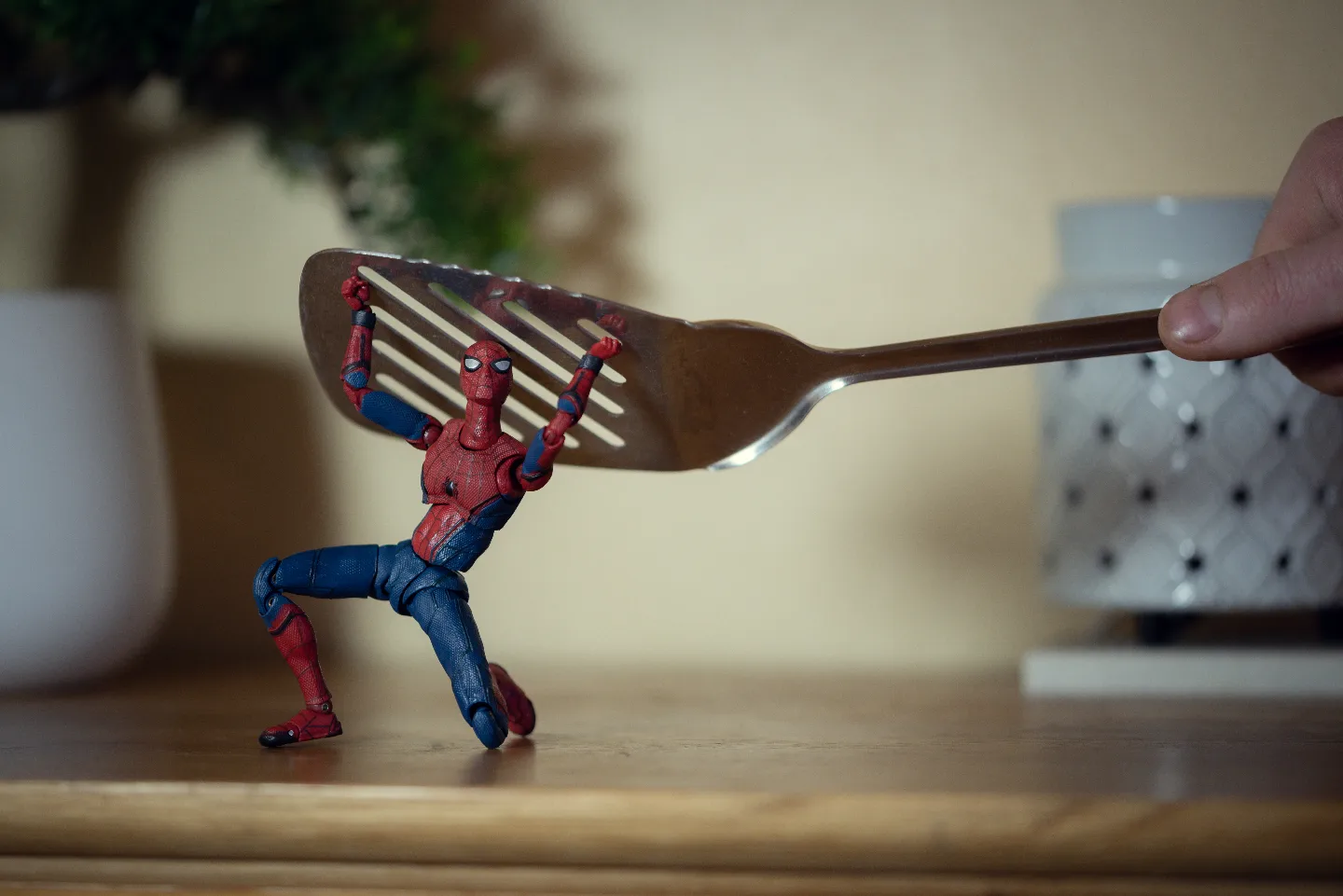 Pesky spiders