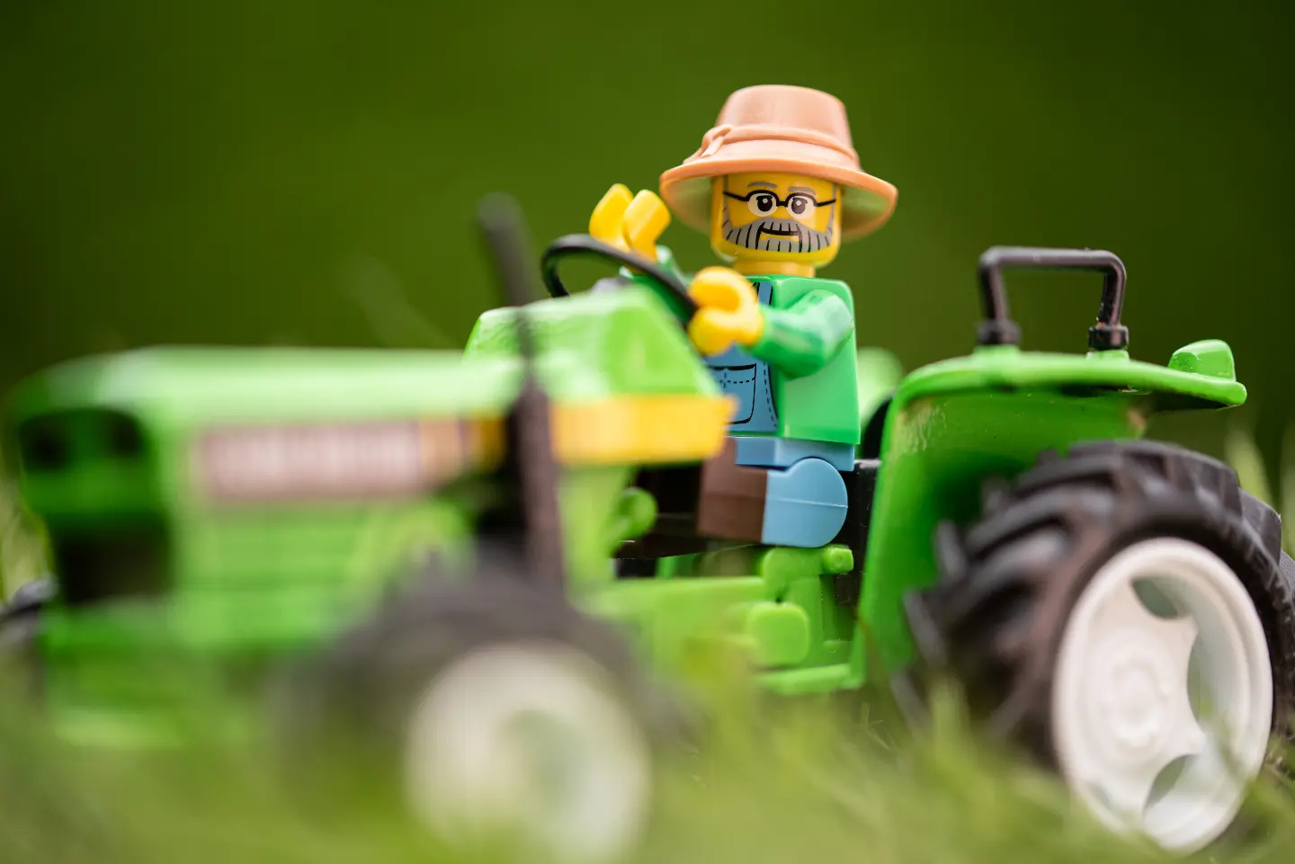 Harvest time down at the farm!