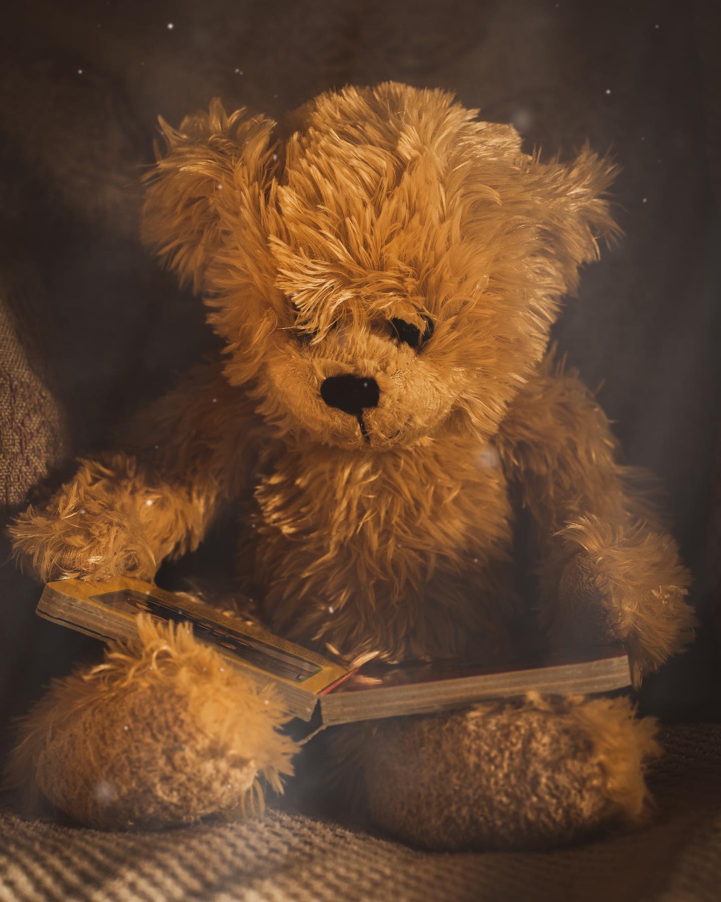Story time!!!