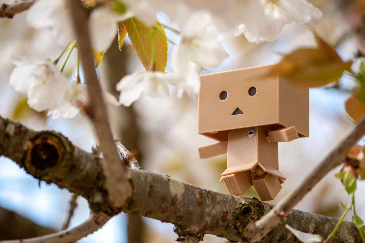 "The sun was warm but the wind was chill. You know how it is with an April day." —Robert Frost