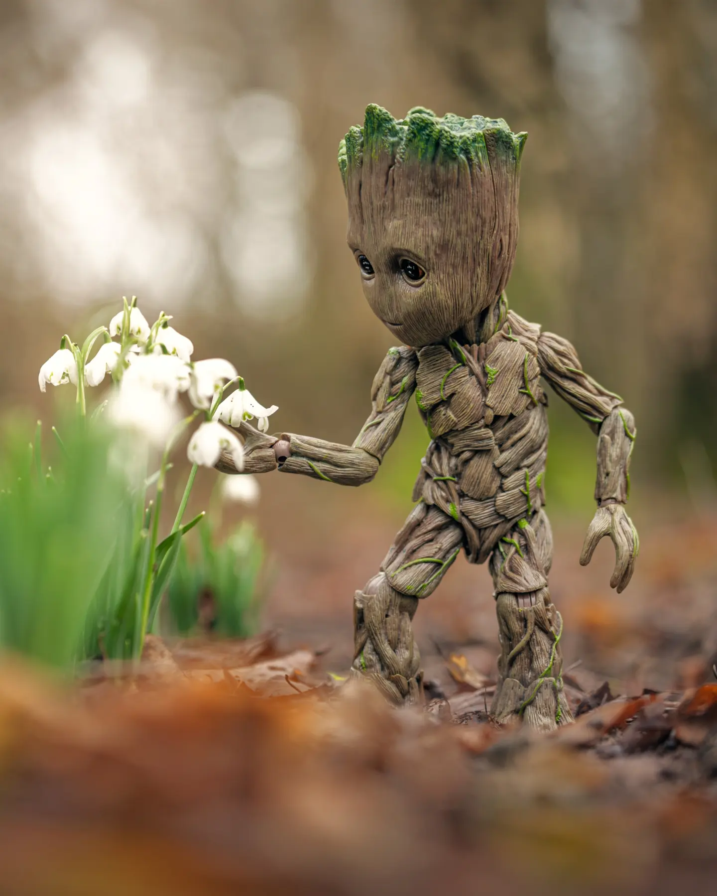 Spring sang softly as Winter died, "I'll bloom for you; while my heart still cries." Angie Weiland-Crosby
