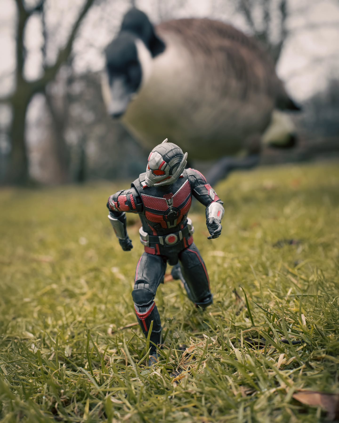 Stop goosing around Antman!