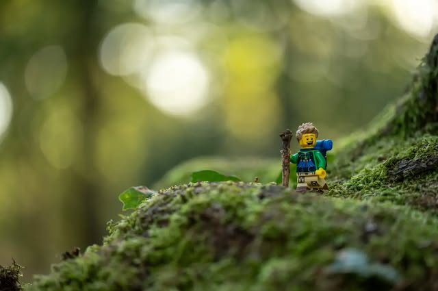 “Once a year, go someplace you’ve never been before.” ― Dalai Lama