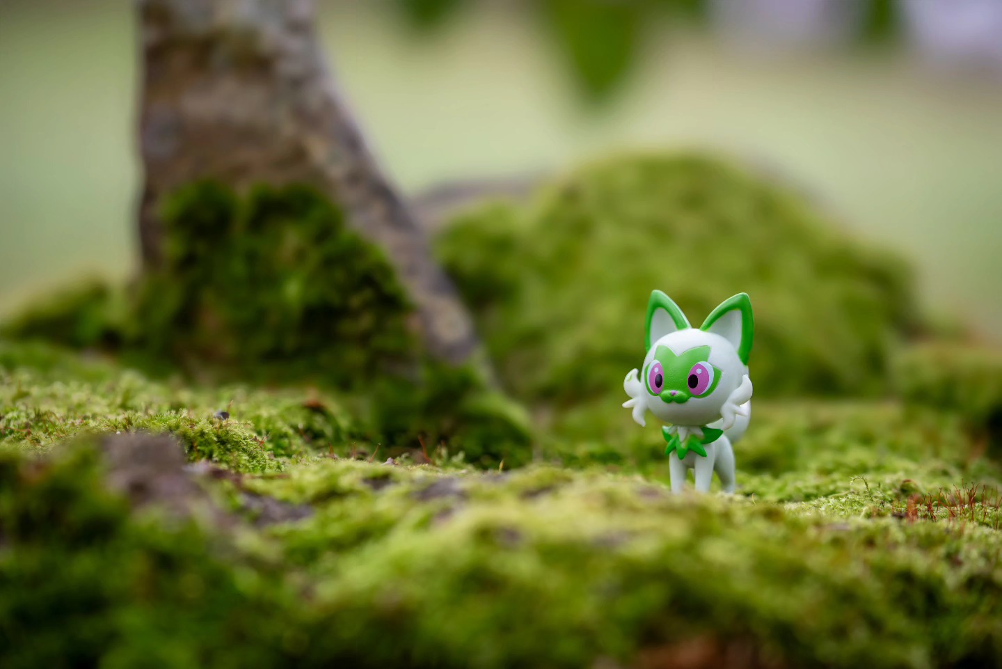 Congratulations, you found a Sprigatito!