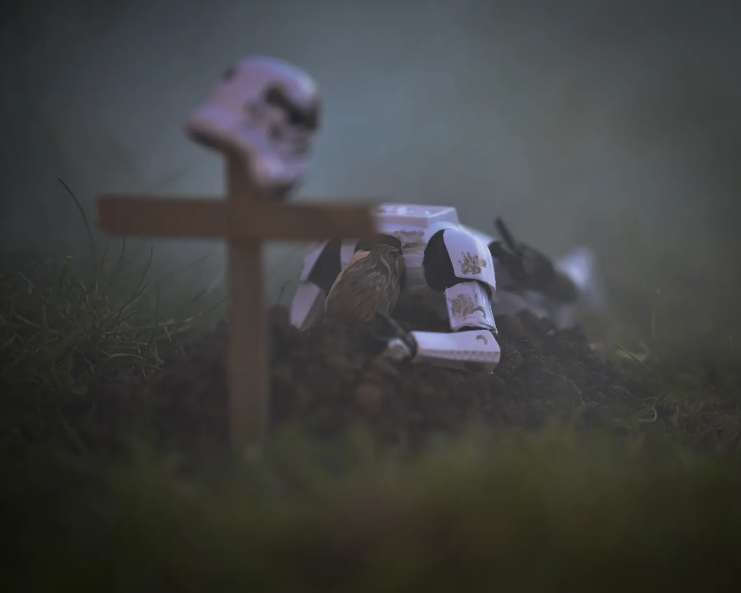 "All war is a symptom of man's failure as a thinking animal." - John Steinbeck