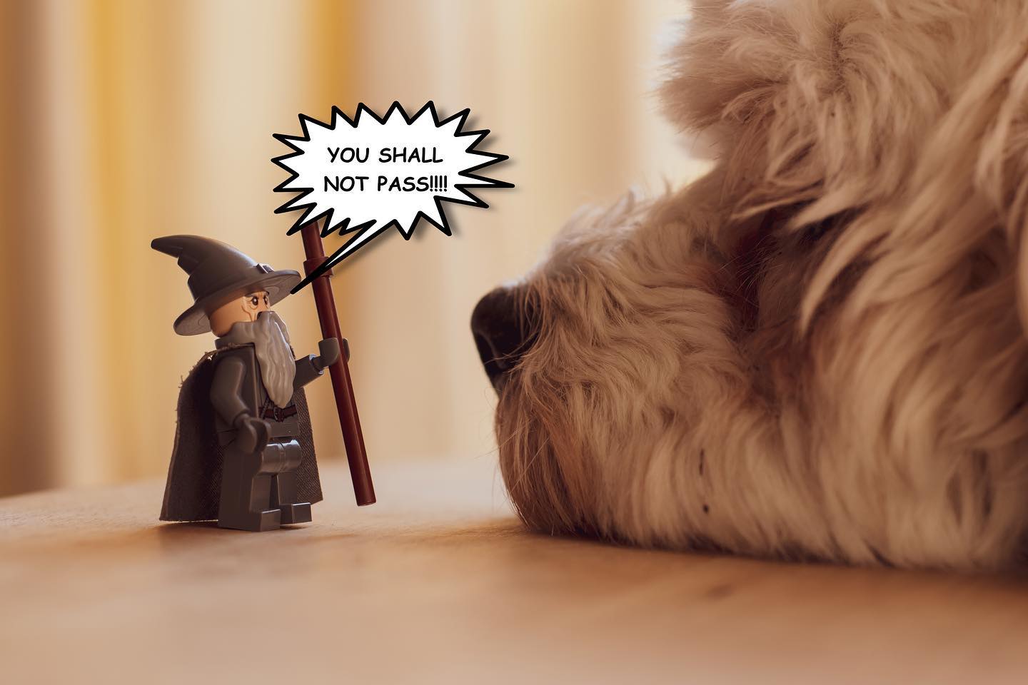 Gandalf met his match