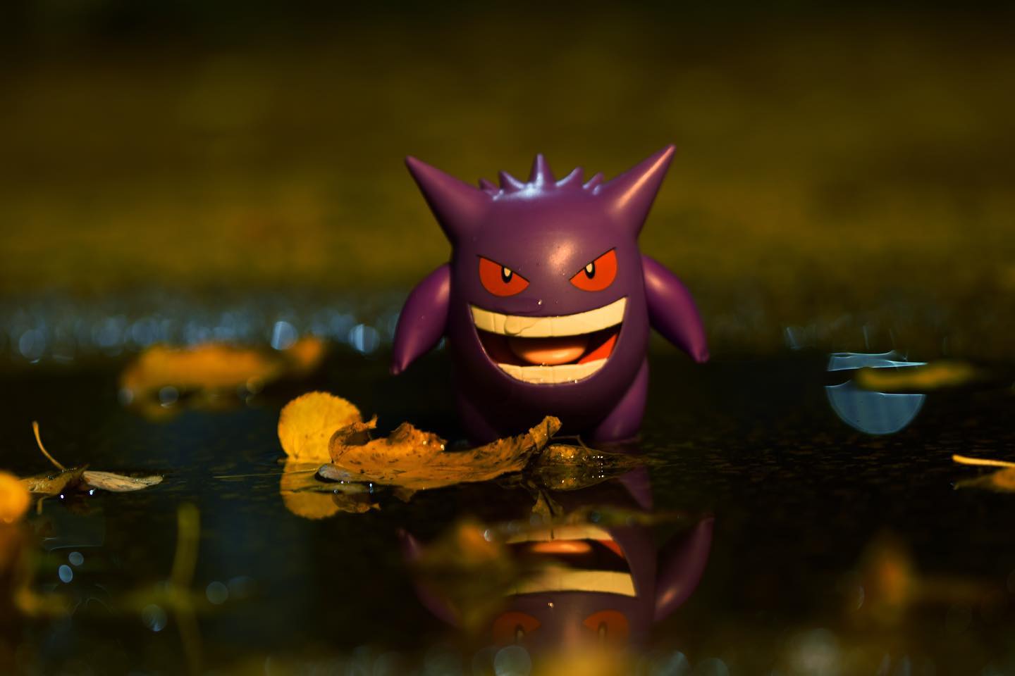 Gengar on the prowl tonight, getting last minute training in for Halloween