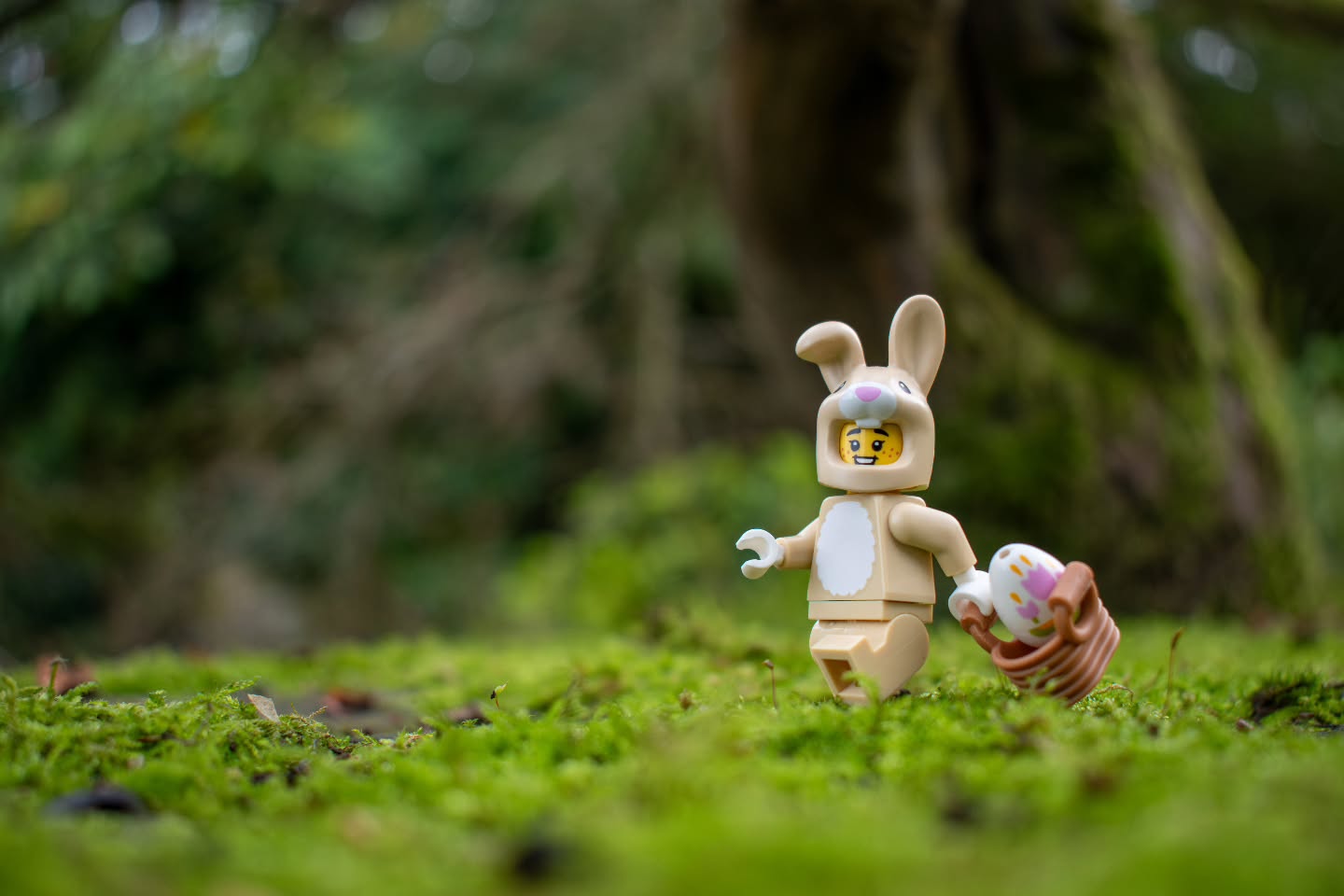 Hope you all have had a great easter for those that celebrate!