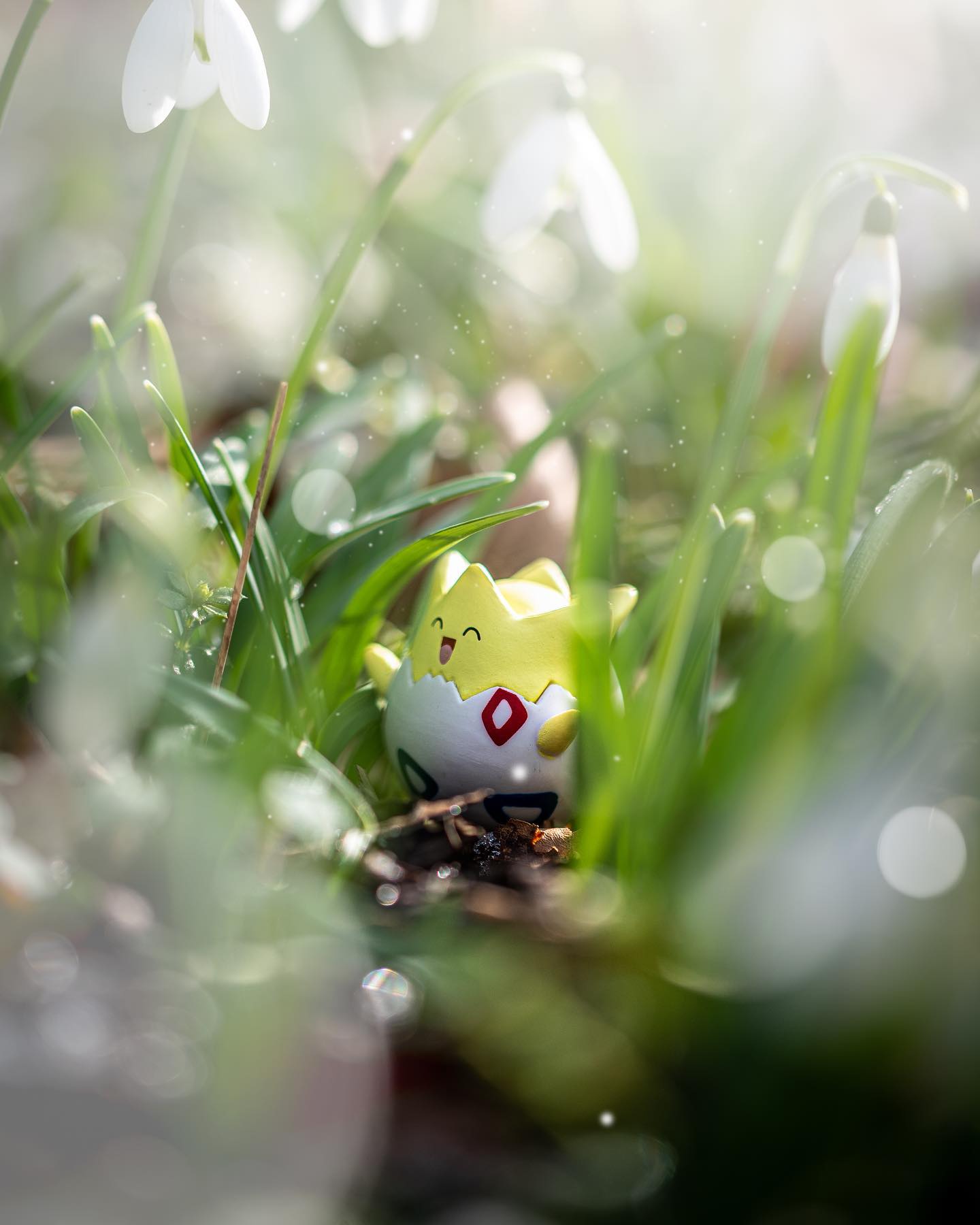Togepi is loving the fact the snowdrops are out, snowdrops are a symbol that spring is on its way. I think we