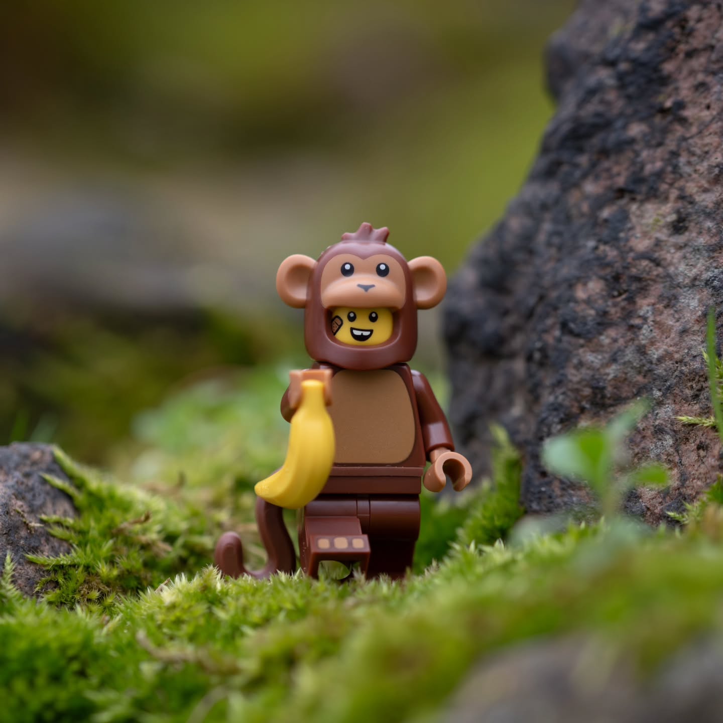 "Monkeys are superior to men in this: when a monkey looks into a mirror, he sees a monkey."