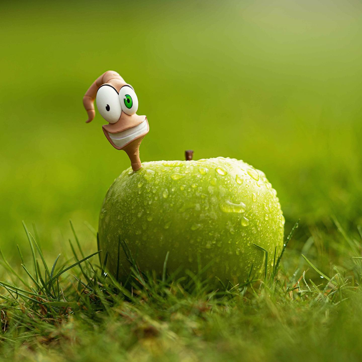 Featured toy photograph