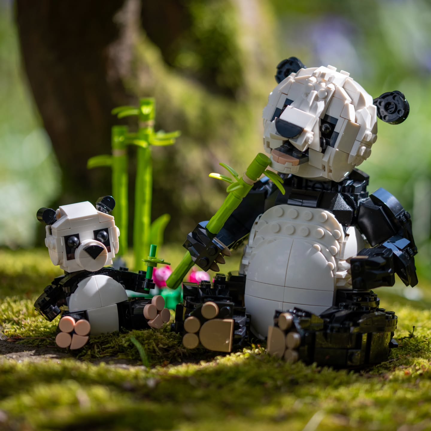 “Like a panda rolling through leaves, happiness sometimes l…