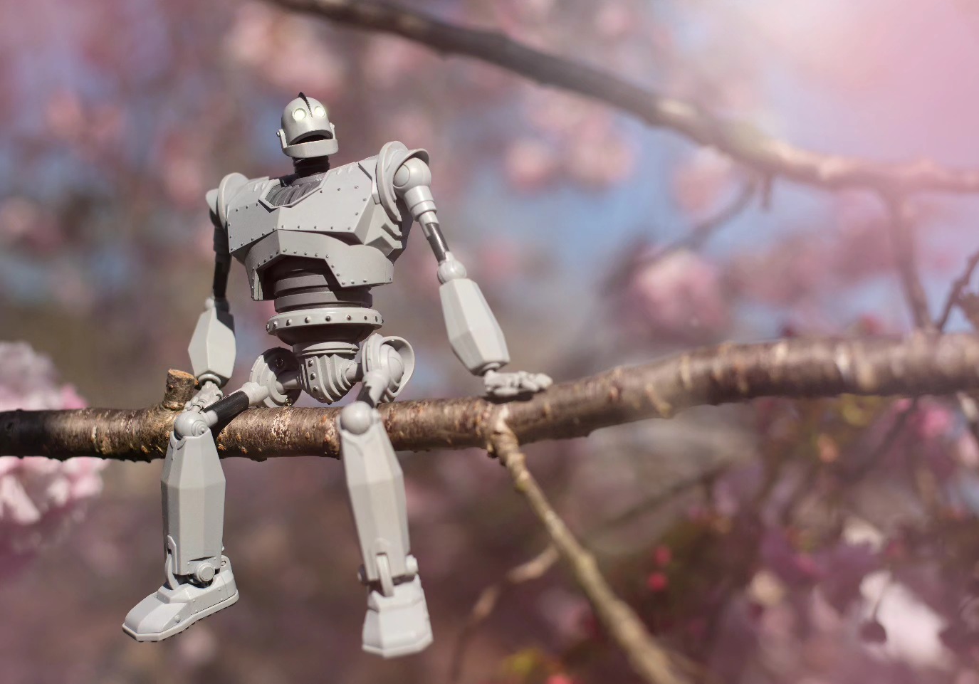 "Be like a flower in spring – blossom and be beautiful, but watch out for those bees trying to get too close!"