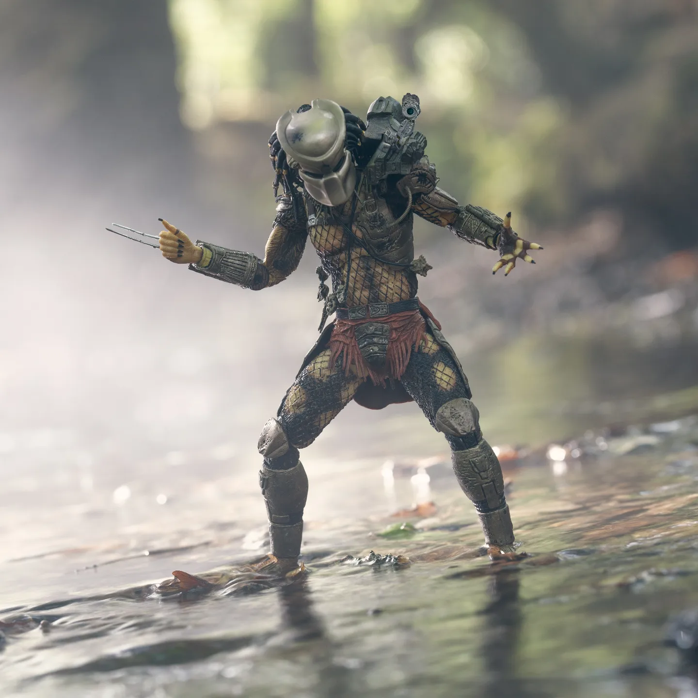 And so the hunt begins