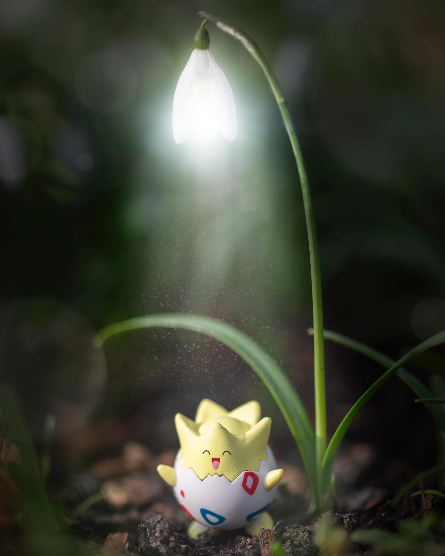 Togepi is loving the fact the snowdrops are out, snowdrops are a symbol that spring is on its way. I think we · 2