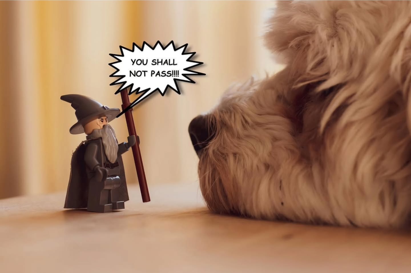 "Though you can no longer walk with me, your paw prints are…