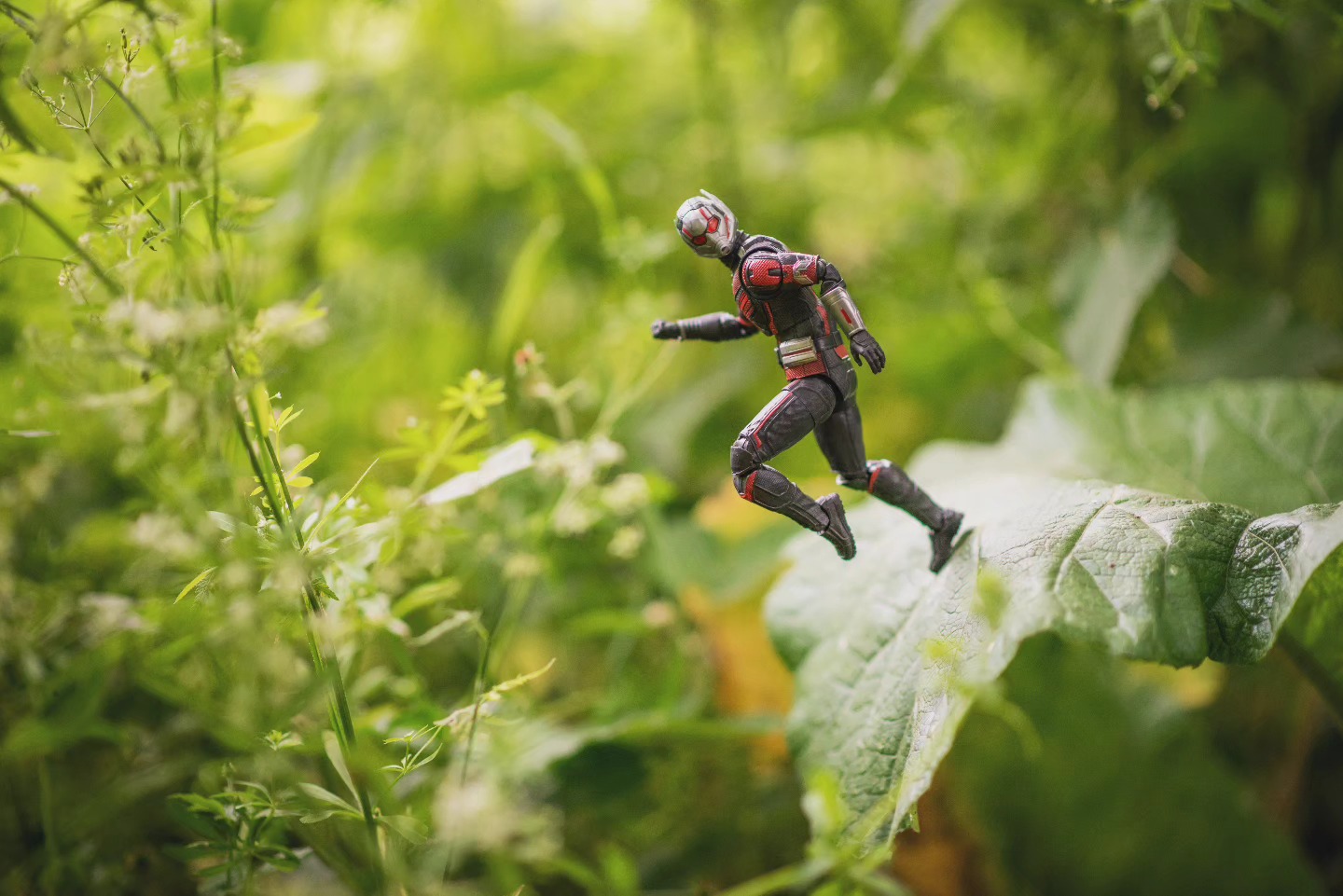 Scott is taking a moment out in nature to ground himself more