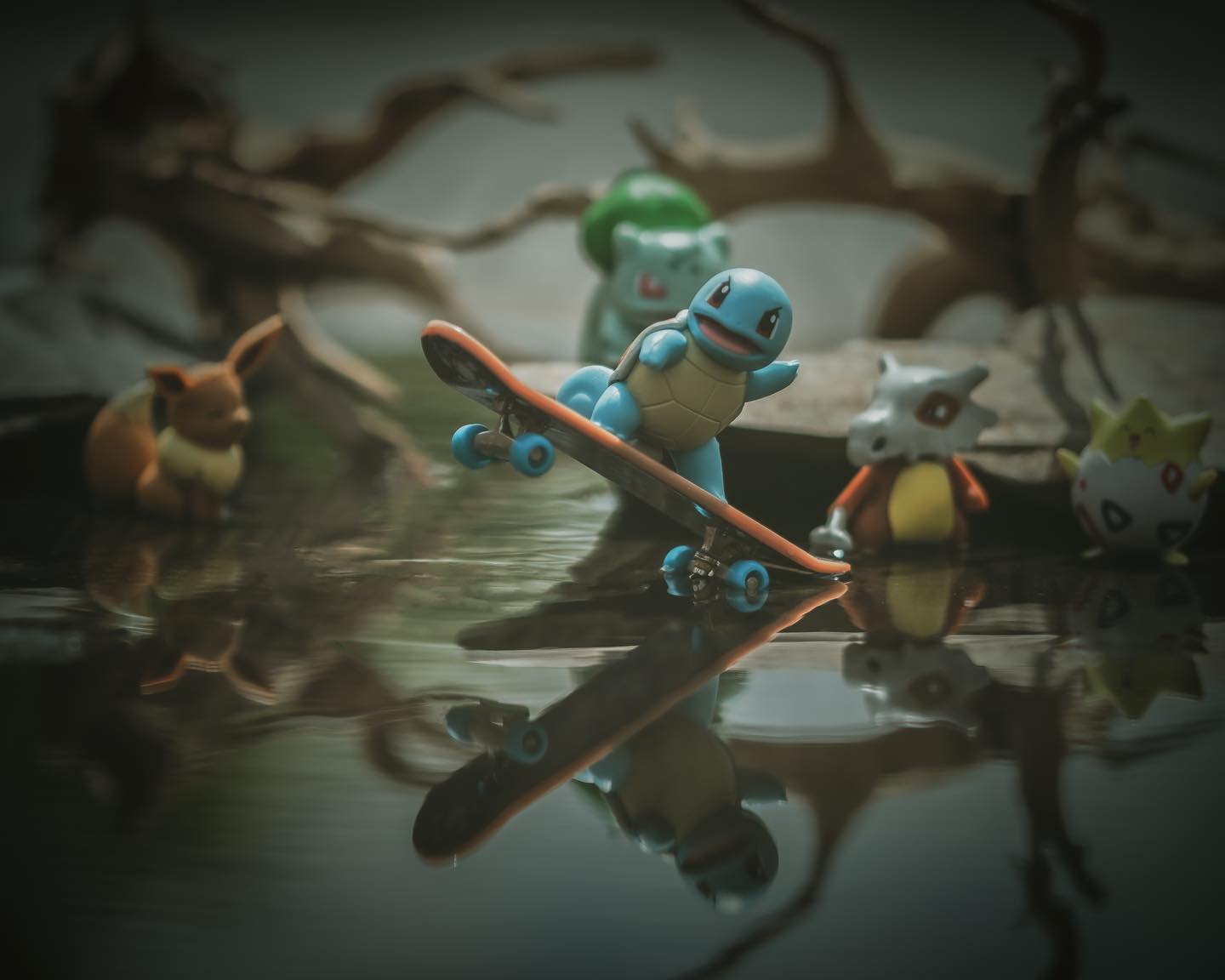 Squirtle showing off his skills!