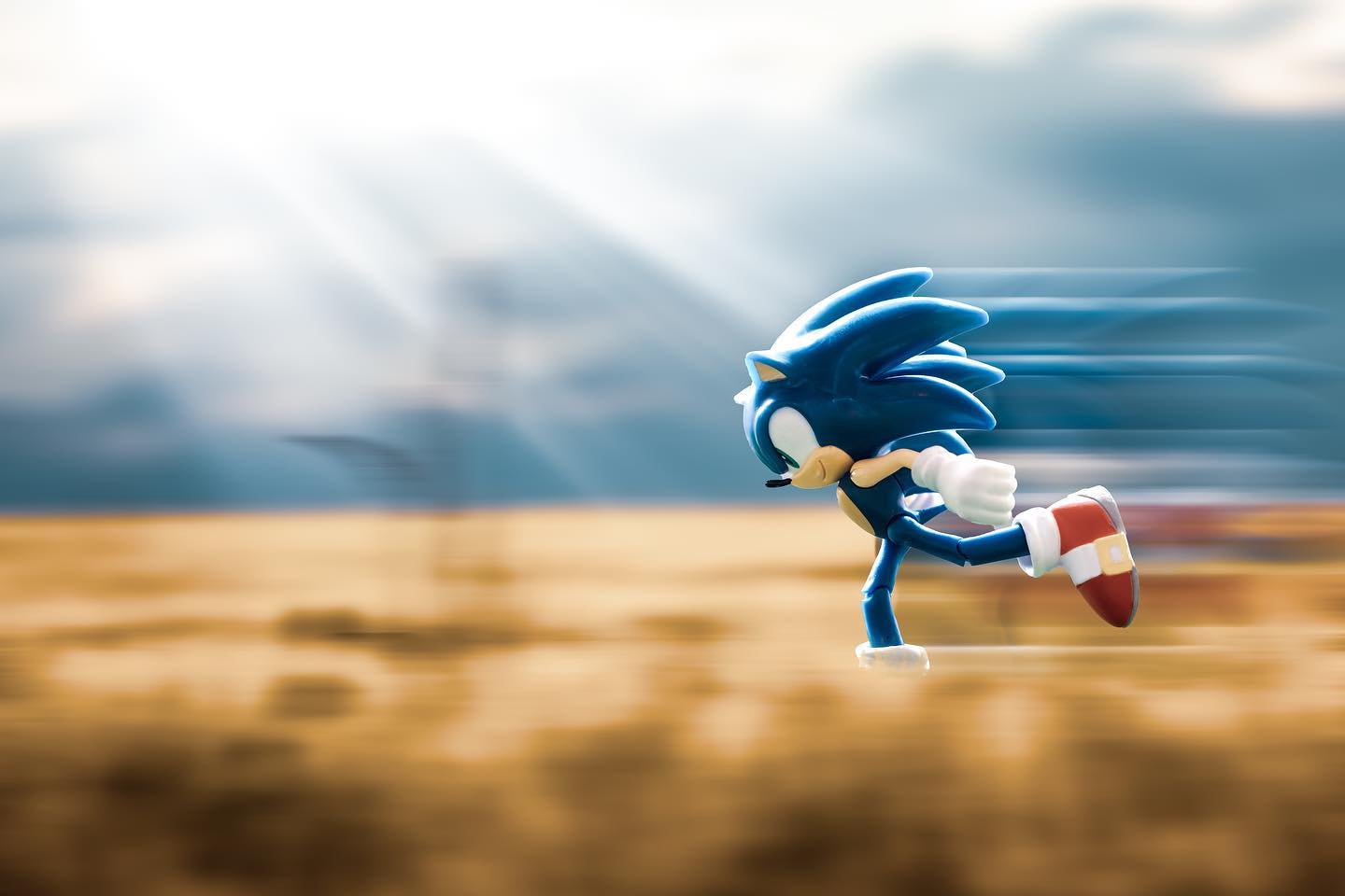Sonic getting his daily exercise in