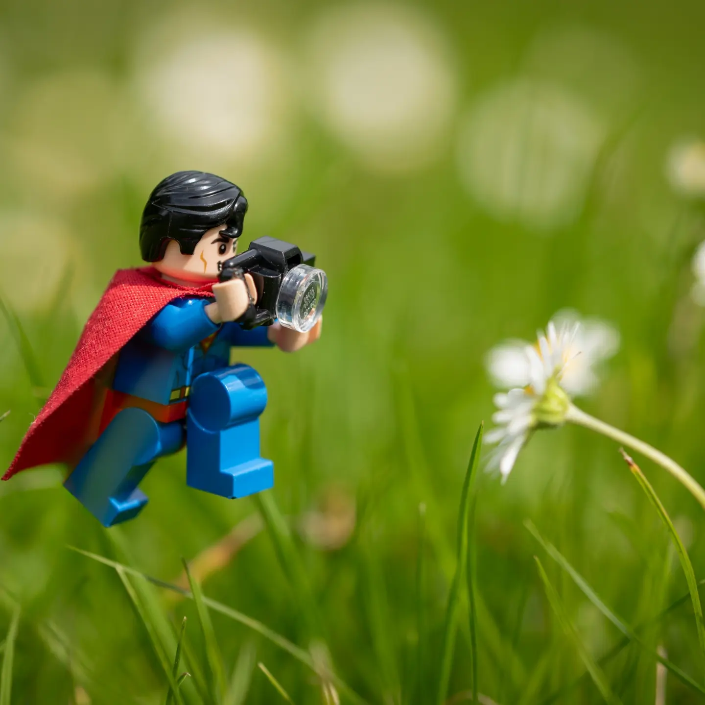 What you see vs what Super "macro" man sees! Swipe to see his photo!
