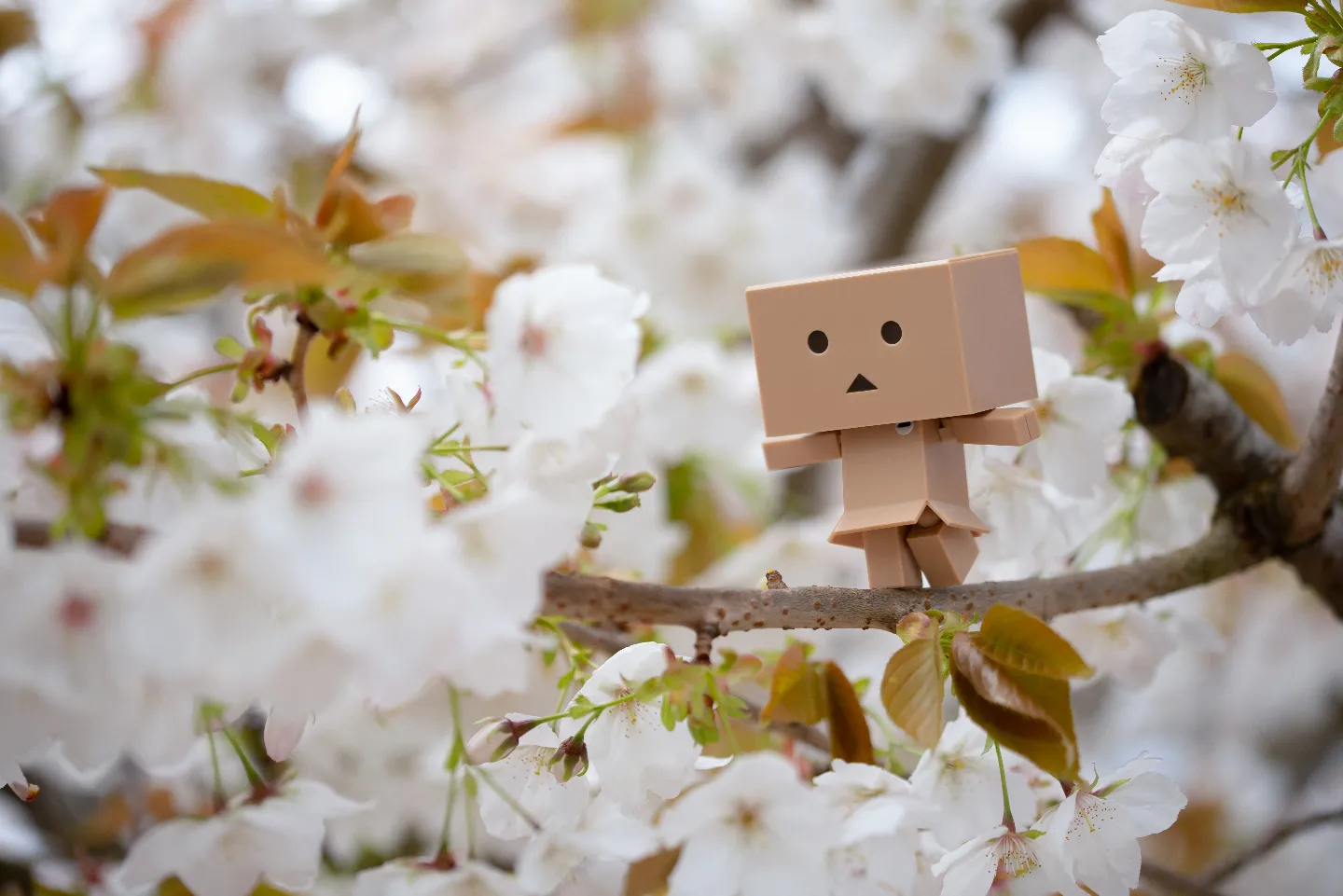 "Spring will come and so will happiness. Hold on. Life will get warmer." – Anita Krizzan