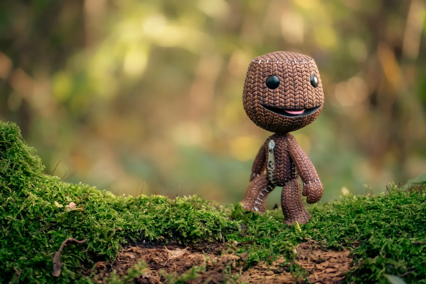 Sackboy is enjoying a lovely nature walk, taking in the lovely autumn colours