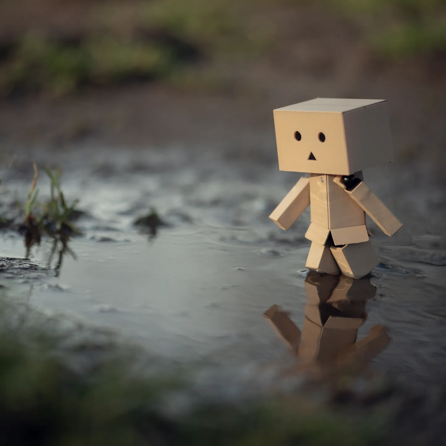 Cardboard Carl decoded to go for a walk