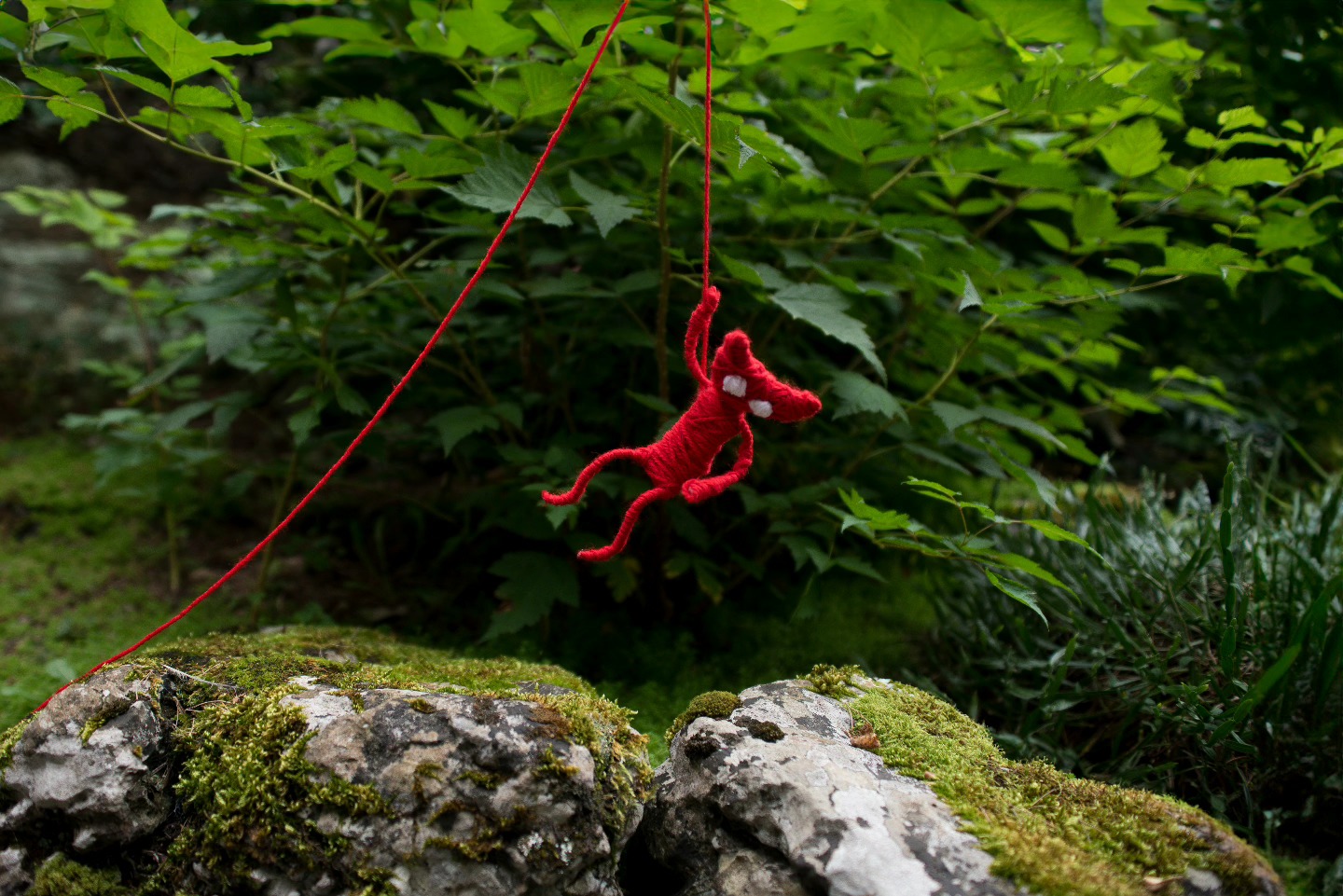 Yarny is still searching for memories