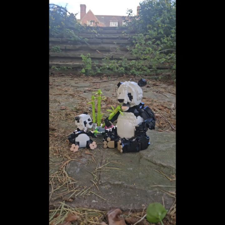 “Like a panda rolling through leaves, happiness sometimes l…