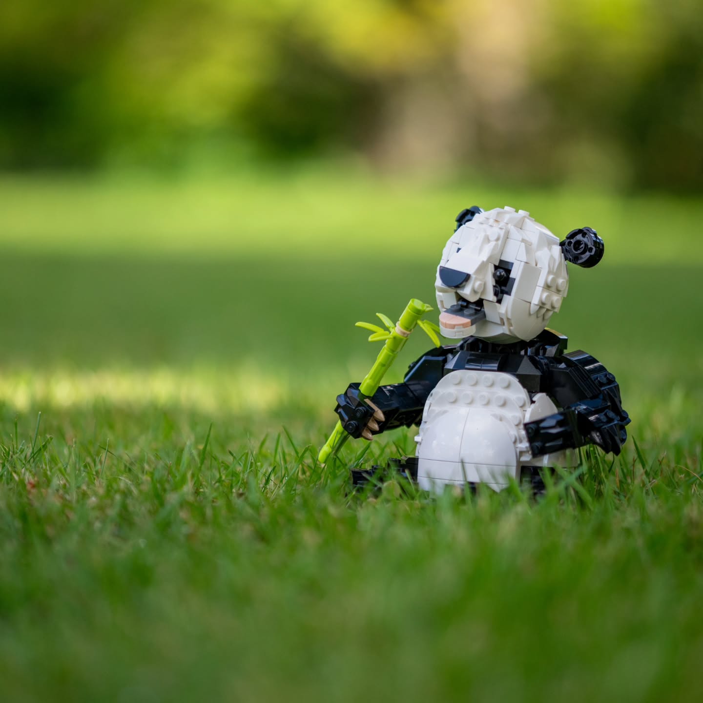 “Like a panda rolling through leaves, happiness sometimes l…