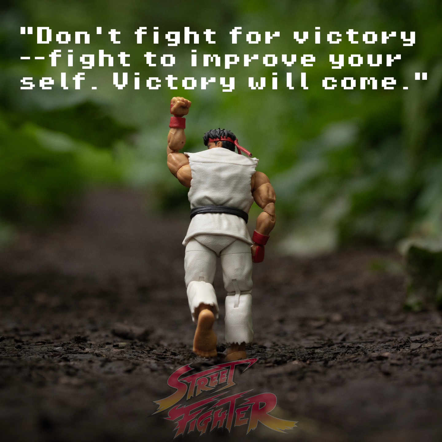 "Don't fight for victory -- fighter to improve your self. Victory will come." ~ RYU