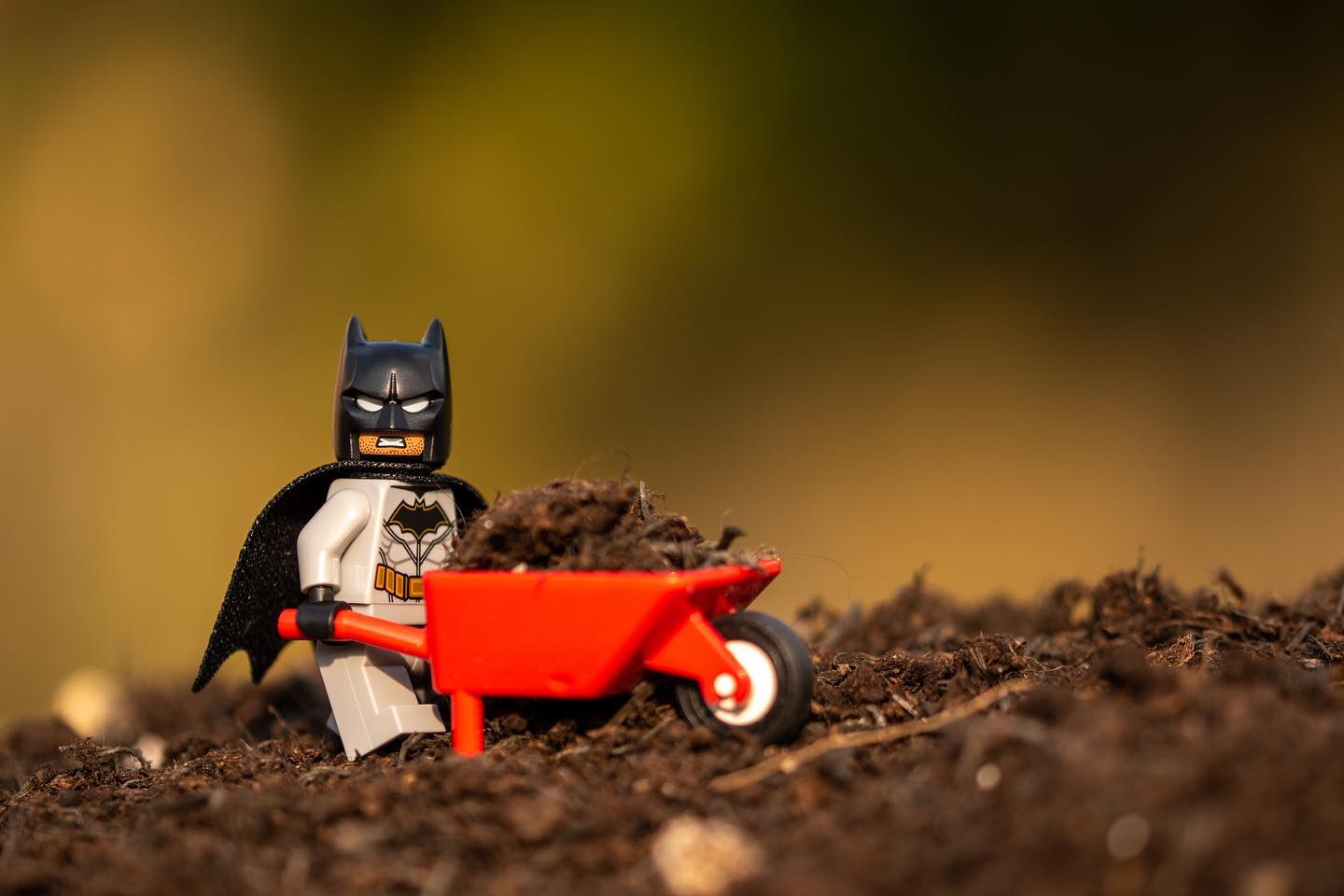 Batman isn’t very happy I caught him doing his chores lol