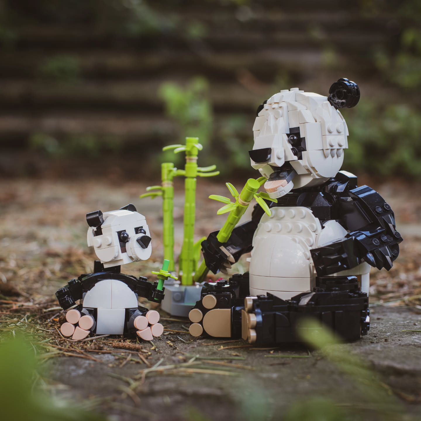 “Like a panda rolling through leaves, happiness sometimes l…