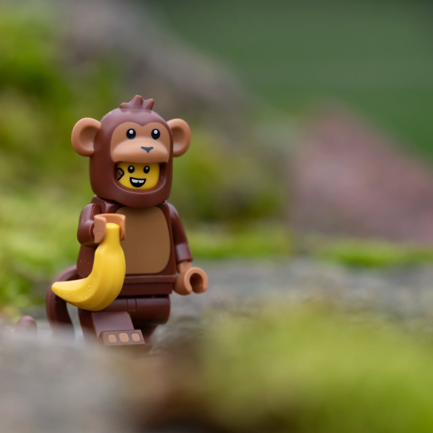 "Monkeys are superior to men in this: when a monkey looks into a mirror, he sees a monkey." · 2