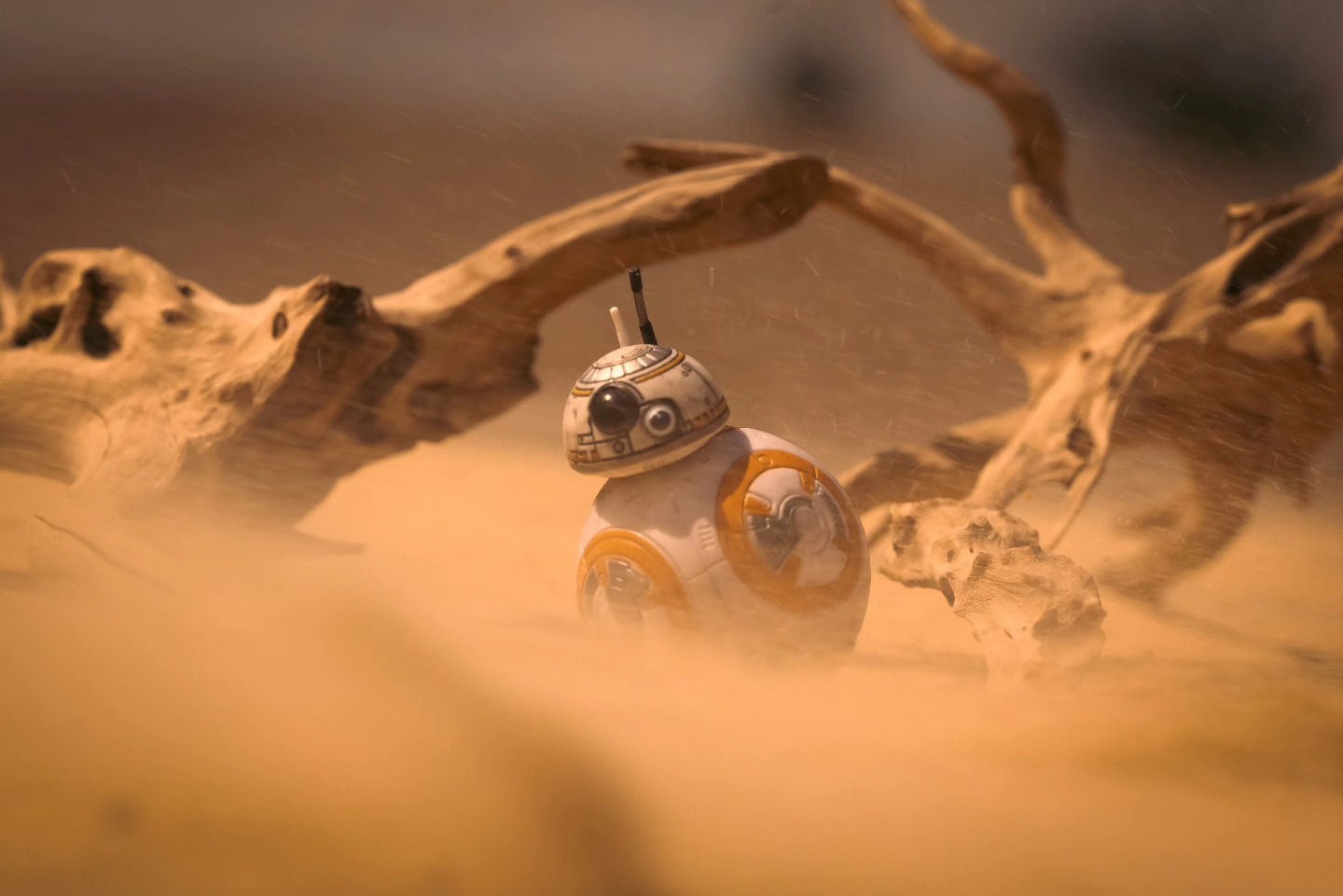 What if bb-8 didn't bump into Rey!? He would be scouring Jakku for years!? We may have got the sequals we dese