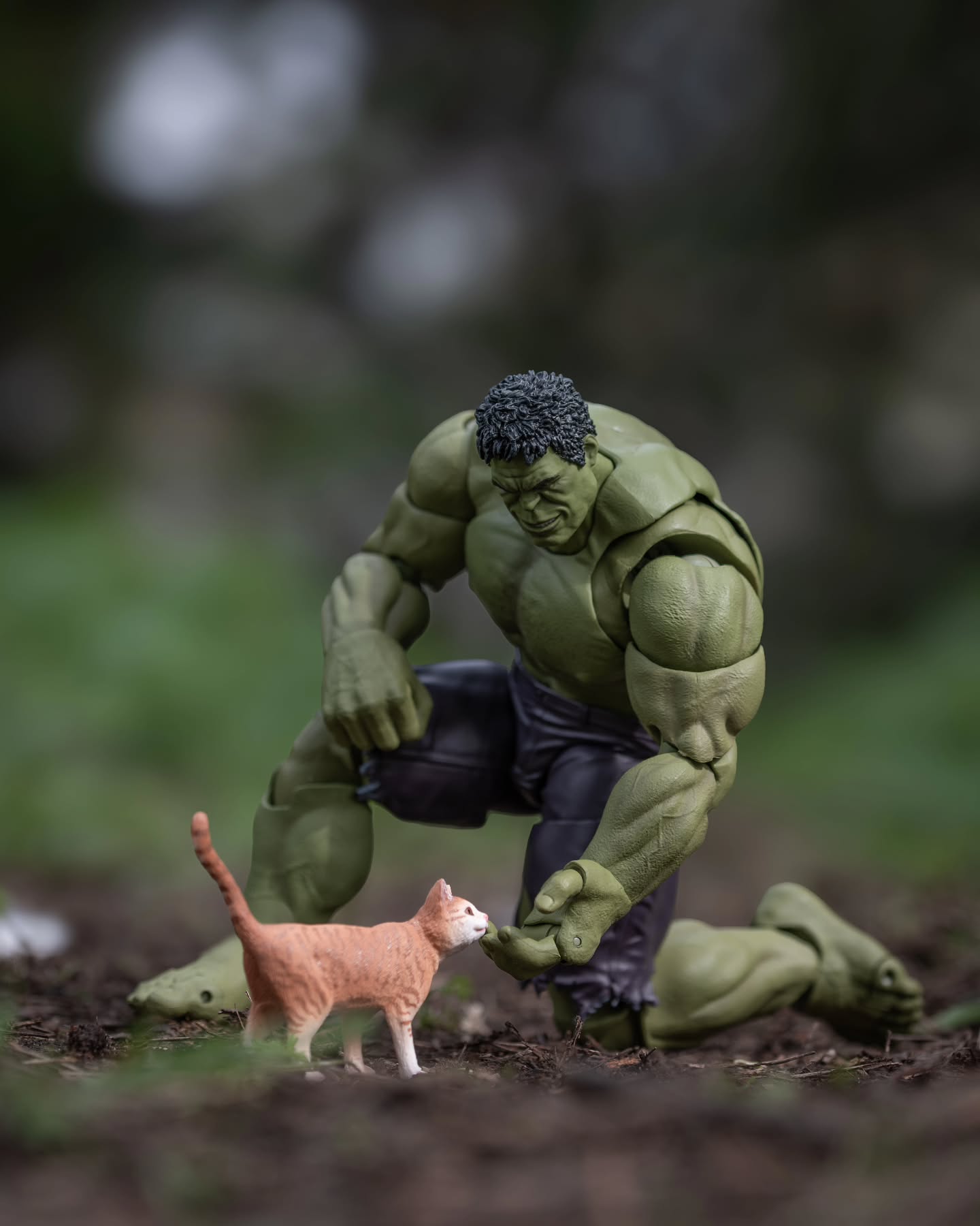 "A meow massages the heart." — Unknown