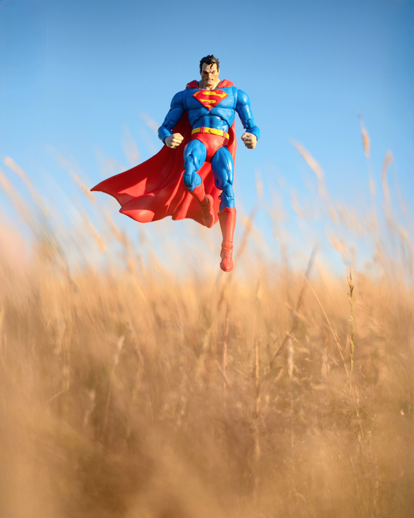 "I fight for the those who can't fight for themselves."~ superman